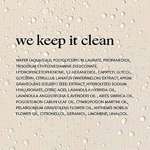 Honest Beauty Elevated Hydration Mist Women, Watermelon, 3.3 Fl Oz