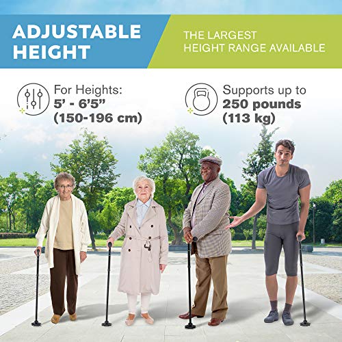 HONEYBULL Walking Cane for Men & Women | Free Standing, Foldable, Pivot Tip [...
