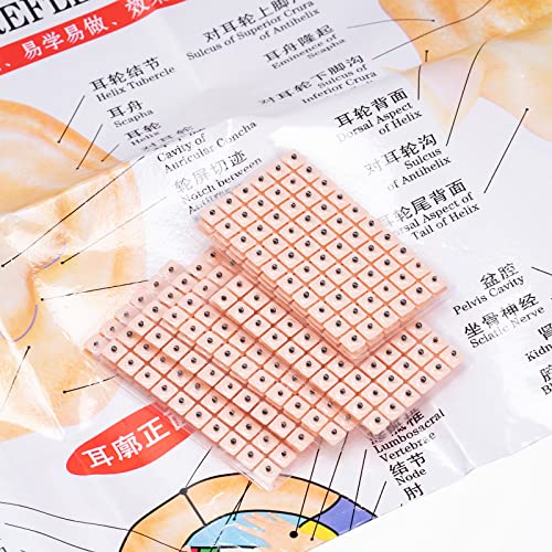 1200 Pieces Ear Seed Kit Acupuncture Ear Seed Acupressure Tools Disposable Ea...