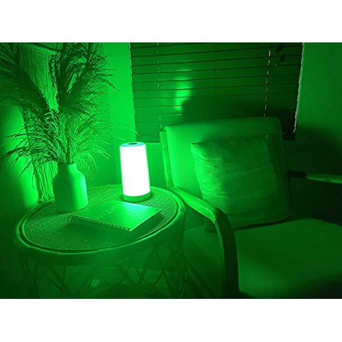Hooga Green Light Therapy Lamp for Migraines, Headaches, Insomnia, Light Sens...