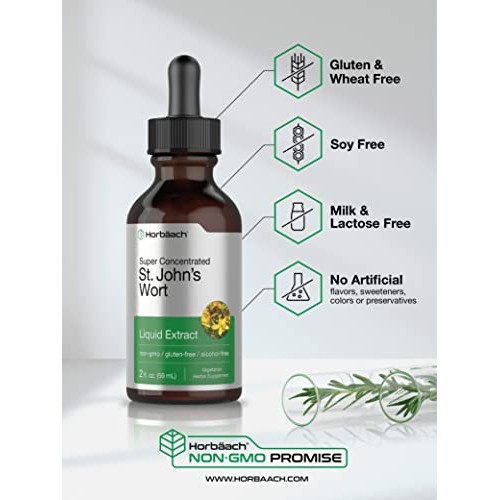 St Johns Wort Tincture | 2 Oz | Alcohol Free | Vegeterian, Non-GMO, Gluten Fr...