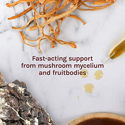 Host Defense, Breathe Extract, Respiratory Support, Mushroom Supplement with ...