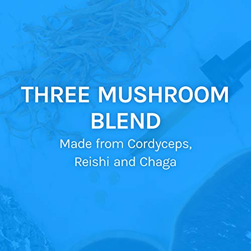 Host Defense, Breathe Extract, Respiratory Support, Mushroom Supplement with ...