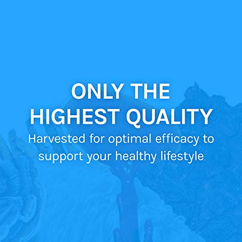Host Defense, Breathe Extract, Respiratory Support, Mushroom Supplement with ...
