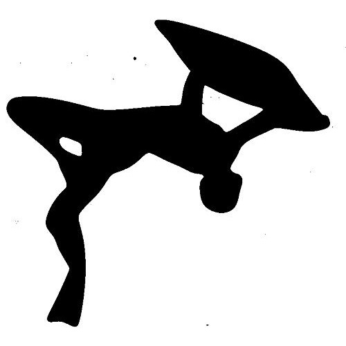 Bodyboarding Bodyboarder - Boogie Board. Transfer tattoos tattooing temporary...