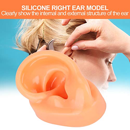 Silicone Right Ear Model, Silicone Right Acupuncture Ear Model For In Ear Hea...