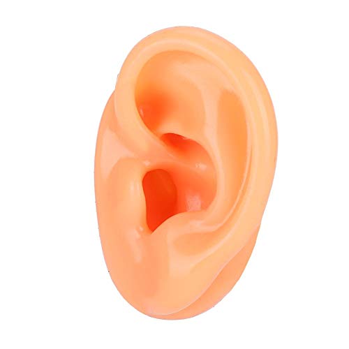 Silicone Right Ear Model, Silicone Right Acupuncture Ear Model For In Ear Hea...