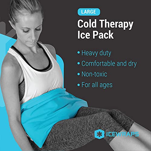 IceWraps Cold Therapy Clay Pack with Cover (Oversized 12”x21”) | Clay Ice Pac...
