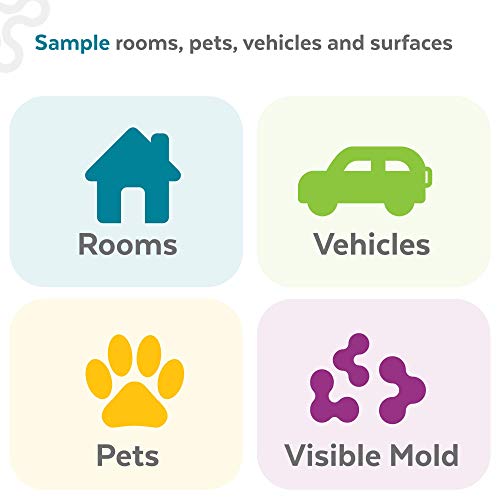 ImmunoLytics DIY Mold Test Kit for Home - Easy to Use Professional Mold Testi...