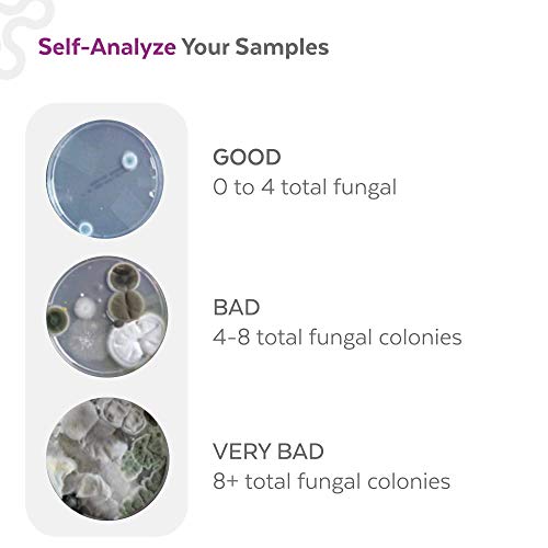 ImmunoLytics DIY Mold Test Kit for Home - Easy to Use Professional Mold Testi...