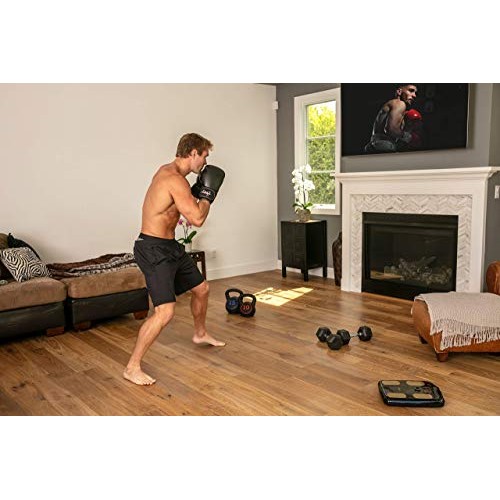 InBody H20N Smart Full Body Composition Analyzer Scale - BMI, Body Fat, Muscl...