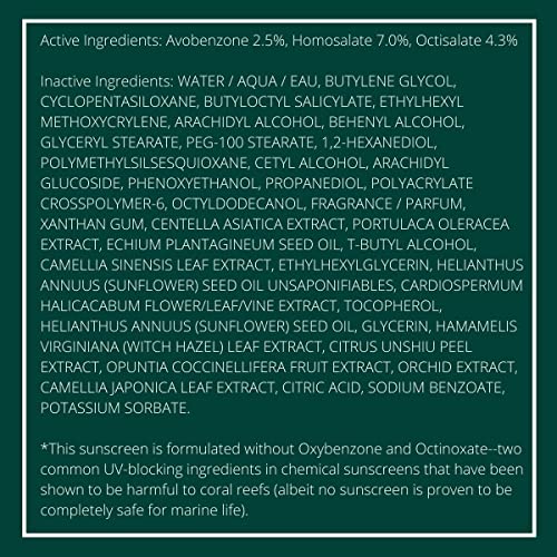 innisfree Daily UV Defense Sunscreen Broad Spectrum SPF 36 Face Lotion