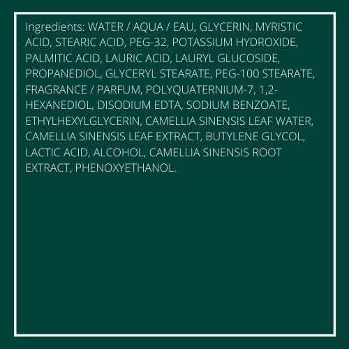 innisfree Green Tea Hydrating Cleansing Foam Creamy Face Cleanser