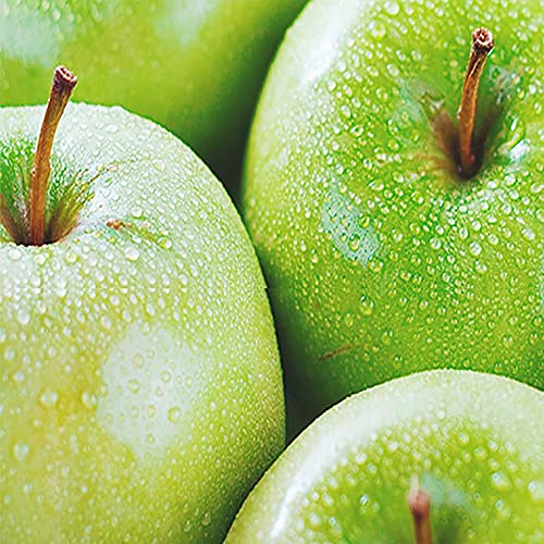 innisfree Refreshing Lip & Eye Makeup Remover with Apple Seed Face Cleanser