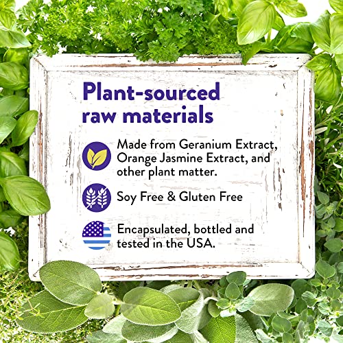 InnovixLabs Full Spectrum Vitamin K2 with MK-7 and MK-4, All-Trans Bioactive ...