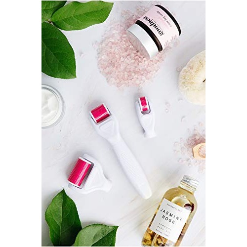 Derma Roller Kit 6 in 1 for Microneedling Face and Body, Titanium Needles 0.2...