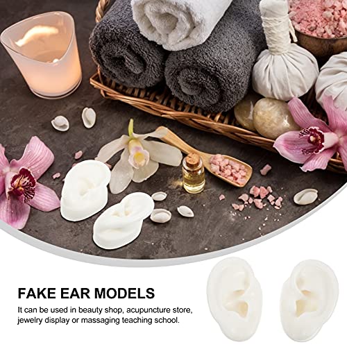 iplusmile 2 Pairs Silicone Ear Model Flexible Earmold Ear Displays Model for ...