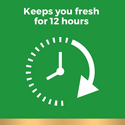 Irish Spring Men's Deodorant Bar Soap, Original Scent - 3.7 ounces (24 Count)