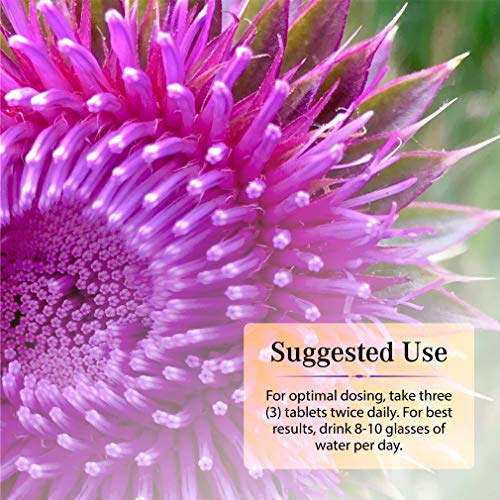 Nature's Secret Milk Thistle Liver Cleanse Supports Healthy Liver Function & ...