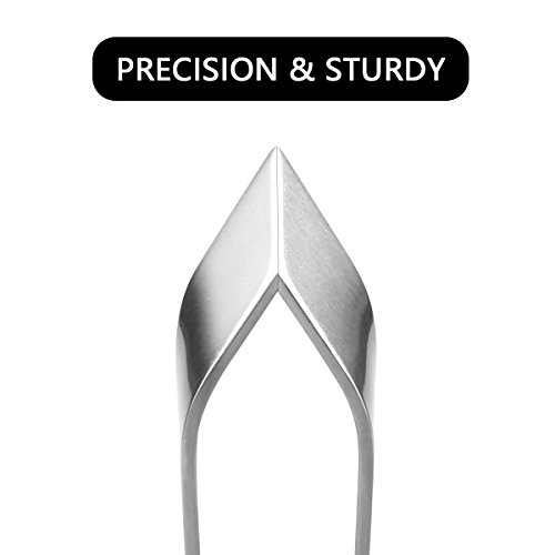 2 Pieces Fish Bone Tweezers, Stainless Steel Flat and Slant Tweezers Pliers R...