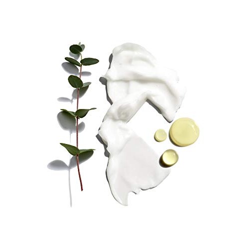 Jack Black Beard Lube Conditioning Shave, 6 Fl Oz