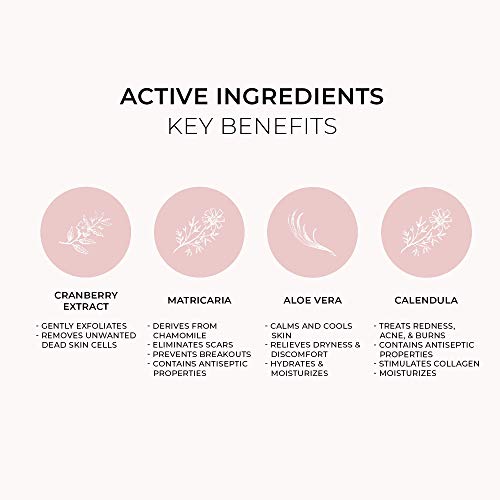 Your Intima Wipes by JEZ V | Individually Packaged Natural Feminine Wipes | p...