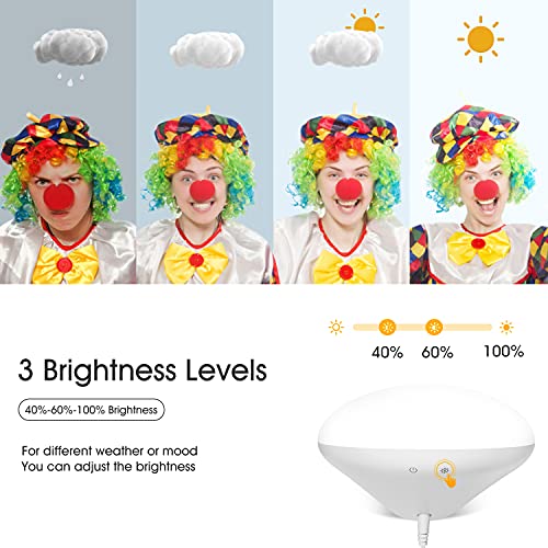 Light Therapy Lamp, UV-Free 10000 Lux LED Bright White Therapy Light, Touch C...