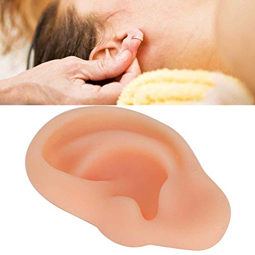Ears Acupuncture Practice, Different Types Ear Model Professional for Explana...