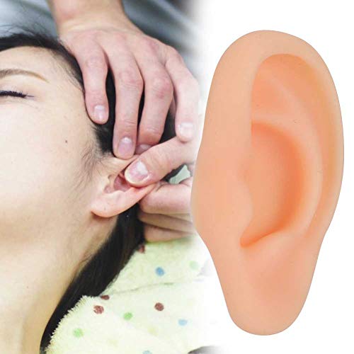 Ears Acupuncture Practice, Different Types Ear Model Professional for Explana...
