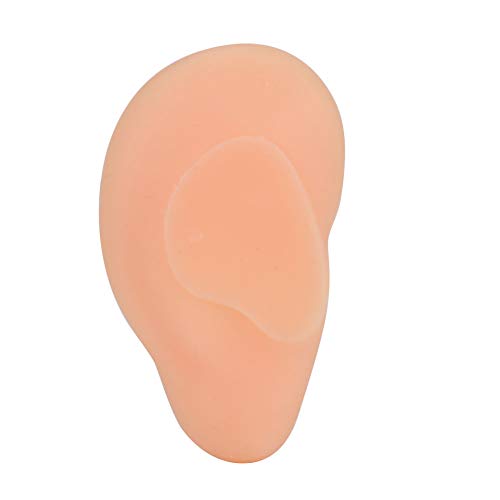 Ears Acupuncture Practice, Real Shape Ear Model Silicone Elicate for Explanat...
