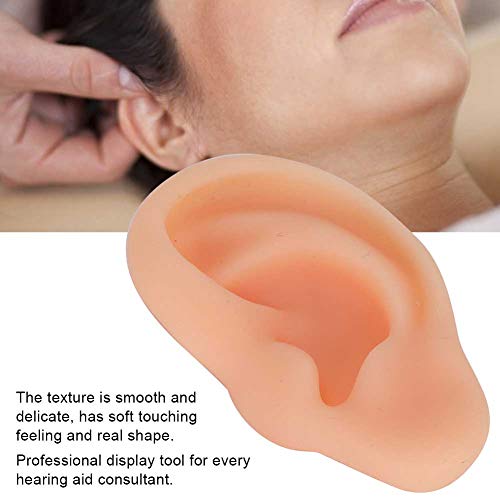 Ears Acupuncture Practice, Real Shape Ear Model Silicone Elicate for Explanat...