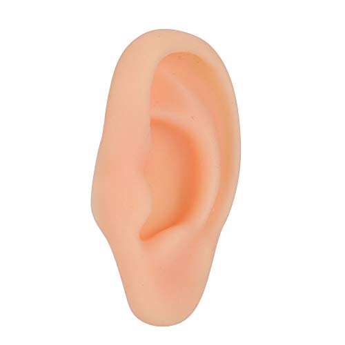 Ears Acupuncture Practice, Real Shape Ear Model Silicone Elicate for Explanat...