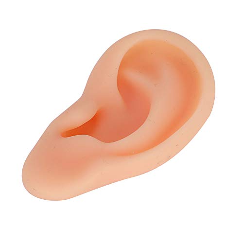 Ears Acupuncture Practice, Real Shape Ear Model Silicone Elicate for Explanat...