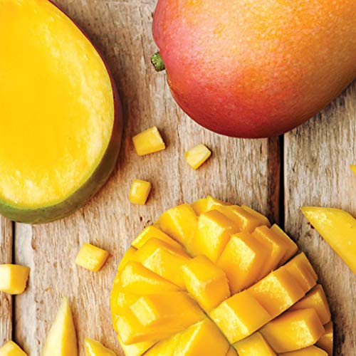 Josie Maran Argan Liquid Gold Self Tanning Body Oil - Get A Fast-Absorbing Im...