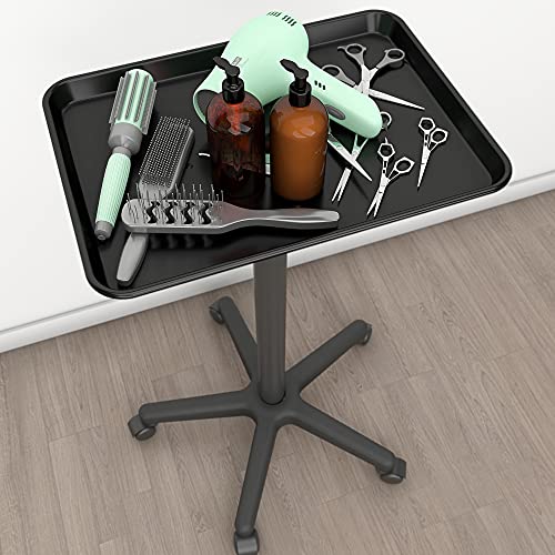 Premium Aluminum Hair Salon Instrument Salon Tray W/Accessory Caddy Tattoo Ro...