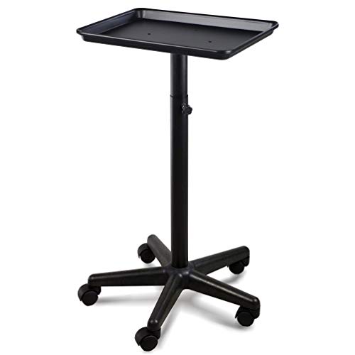 Premium Aluminum Hair Salon Instrument Salon Tray W/Accessory Caddy Tattoo Ro...