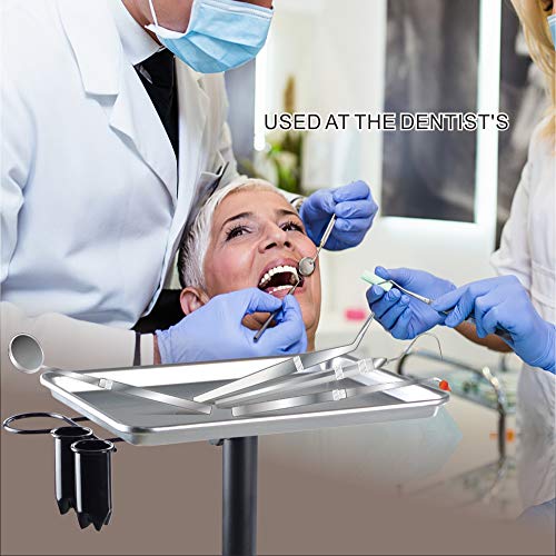 Premium Aluminum Instrument Salon Tray W/Accessory Caddy Tattoo Rolling Tray ...