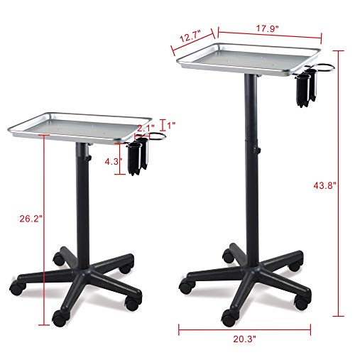 Premium Aluminum Instrument Salon Tray W/Accessory Caddy Tattoo Rolling Tray ...