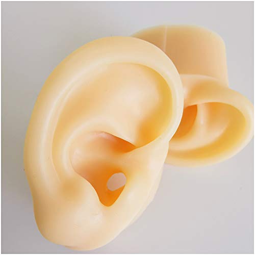 K99 Artificial Ear Model - Life Size Human Ear Model - for Acupuncture, Scien...