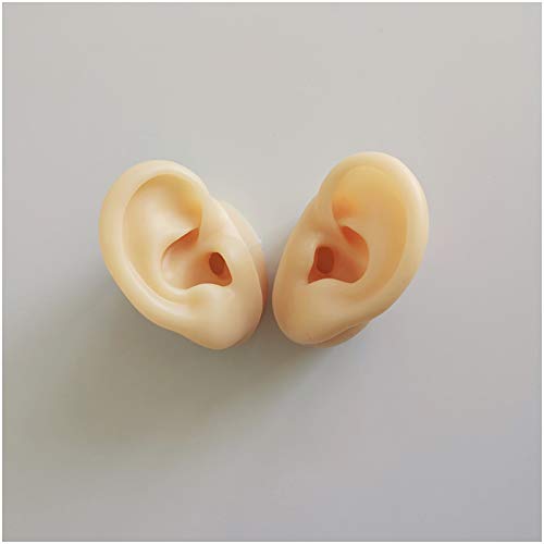 K99 Artificial Ear Model - Life Size Human Ear Model - for Acupuncture, Scien...