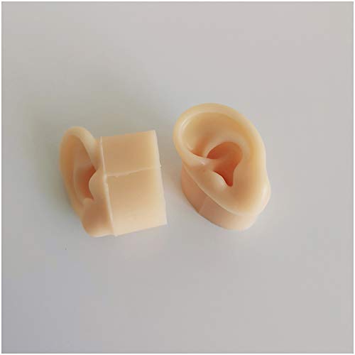 K99 Artificial Ear Model - Life Size Human Ear Model - for Acupuncture, Scien...