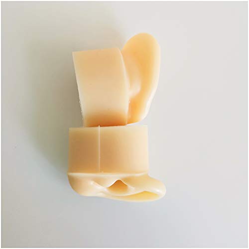 K99 Artificial Ear Model - Life Size Human Ear Model - for Acupuncture, Scien...