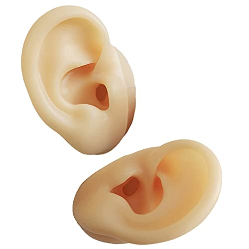 K99 Artificial Ear Model - Life Size Human Ear Model - for Acupuncture, Scien...