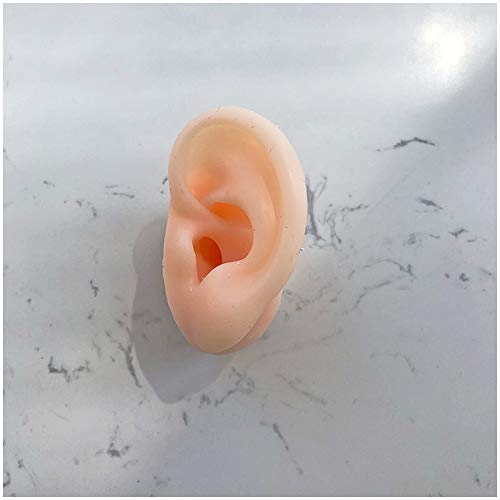 K99 Ear Model One Pair - Long Ear Canal Simulation Silicone Ear Model - for A...