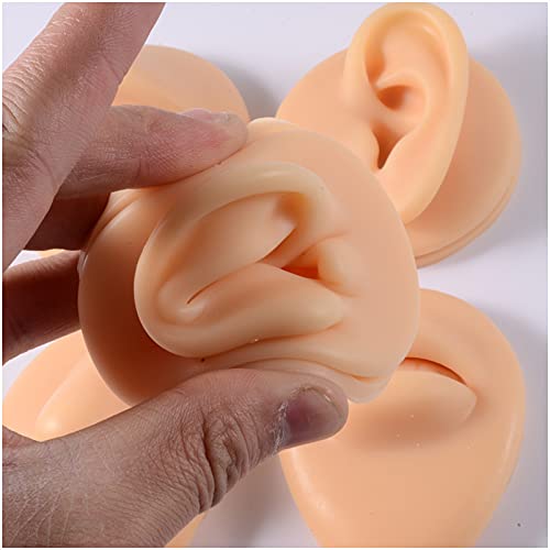 K99 Human Ear Model - Silicone Ear Model - for Acupuncture Practice Training,...