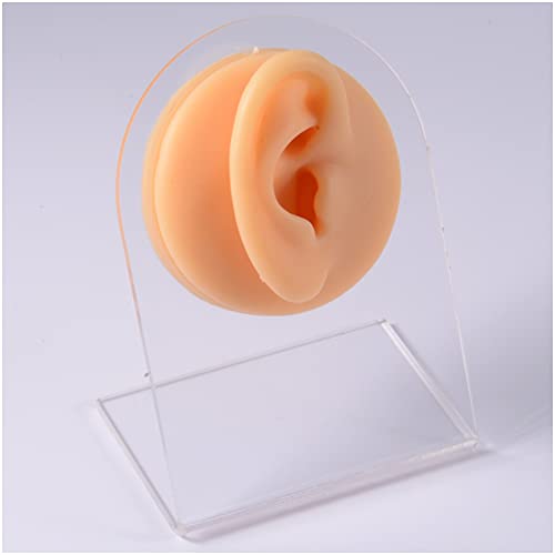 K99 Human Ear Model - Silicone Ear Model - for Acupuncture Practice Training,...