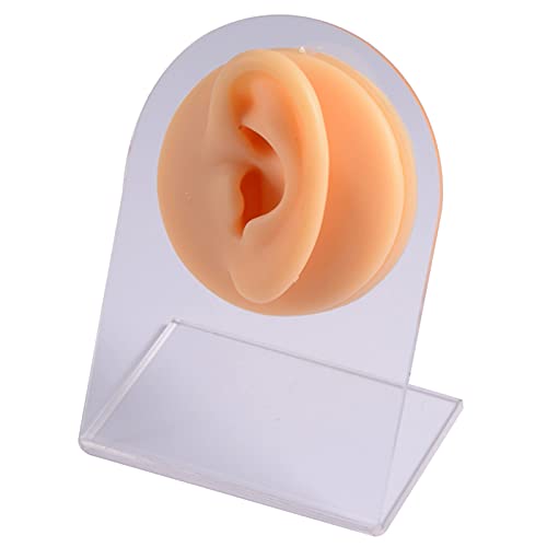 K99 Human Ear Model - Silicone Ear Model - for Acupuncture Practice Training,...