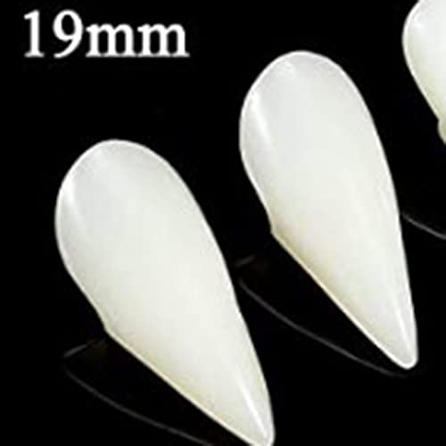 Crystal Box Halloween Party Props Tip Little Tiger Tooth Cosplay Makeup Vampi...