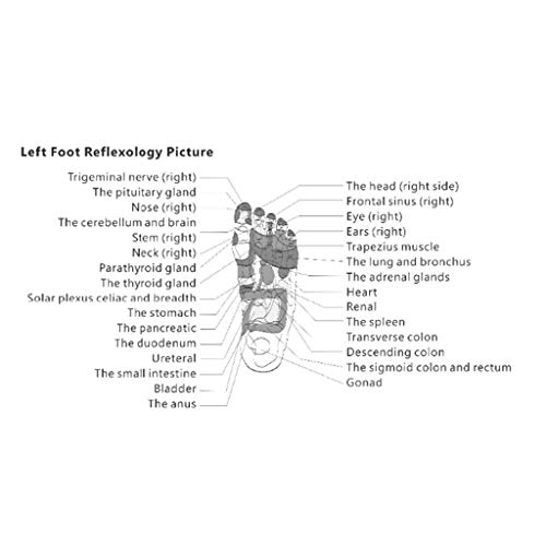 Foot Massager,Mini Smart Swing Exerciser Chi Machine Electric Professional Fo...