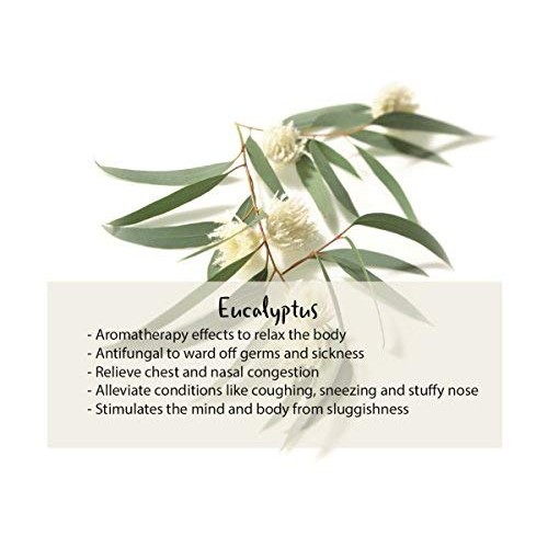 Kneipp Eucalyptus Bubble Bath, 13.52 fl oz, with Aromatherapy